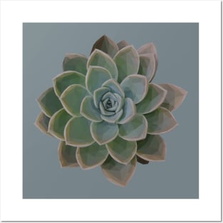 Low Poly Green Succulent Posters and Art